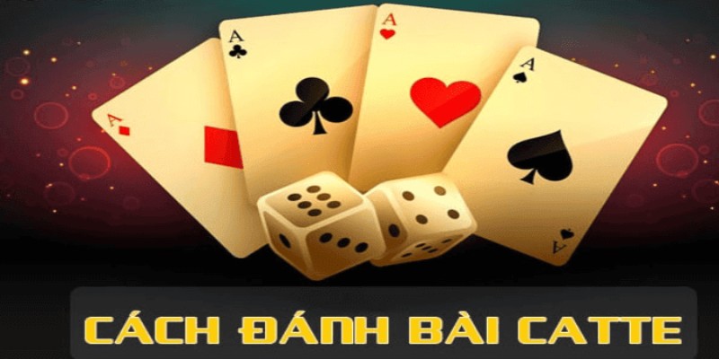 Hướng dẫn cách chơi game catte nhanh thắng